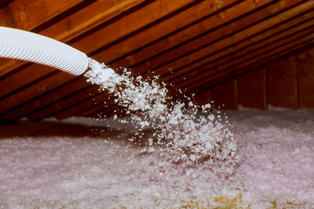 Best Fiberglass Insulation  in Polkton, NC