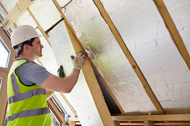 Best Professional Insulation Contractor  in Polkton, NC