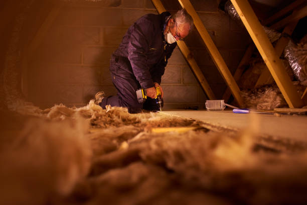 Best Fiberglass Insulation  in Polkton, NC