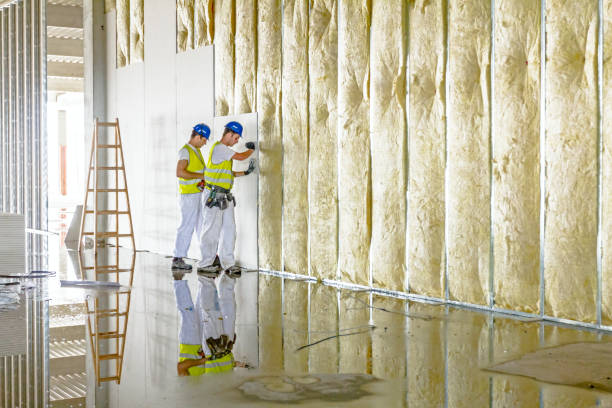 Best Residential Insulation Services  in Polkton, NC